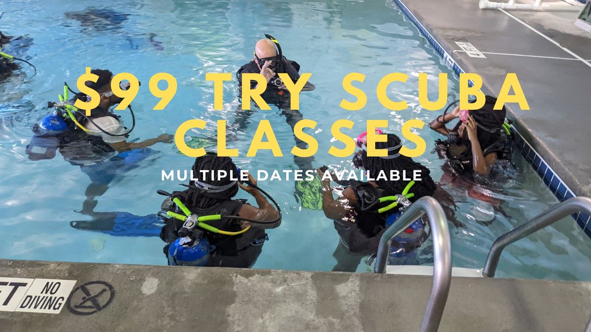 Group Try Scuba Classes at Diventures Alpharetta