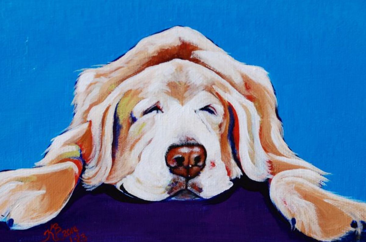 "Paint Your Pet" with Kelly Bowman