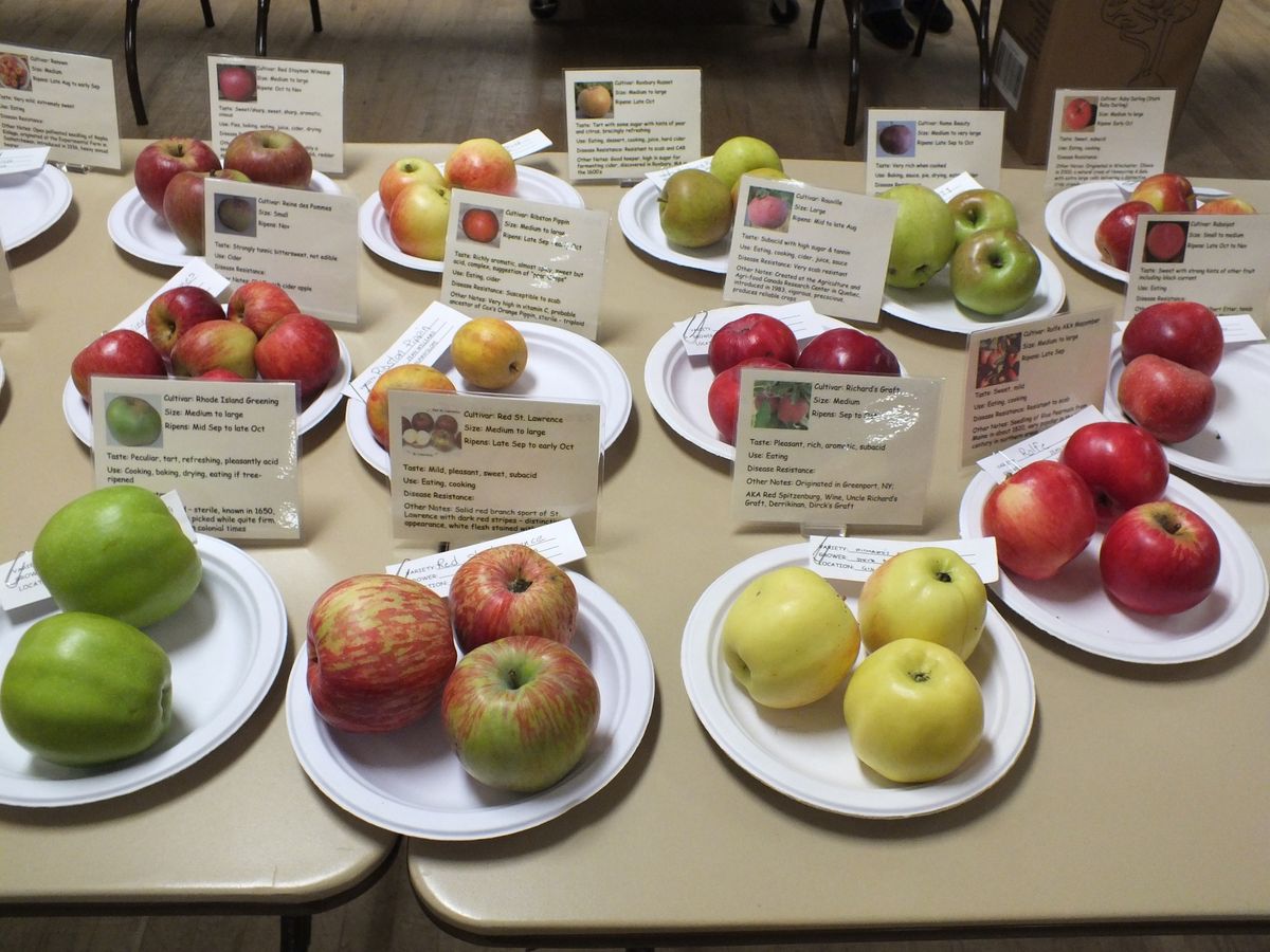 2024 Fall Fruit Show