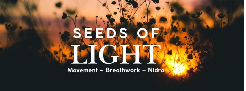 Seeds of Light: An Evening of Movement, Breathwork and Nidra