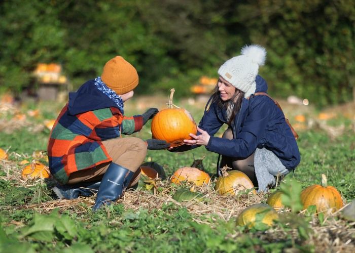 Halloween Train Rides, Tricks, Treats and Pumpkin Patch Fun At Wells House and Gardens 