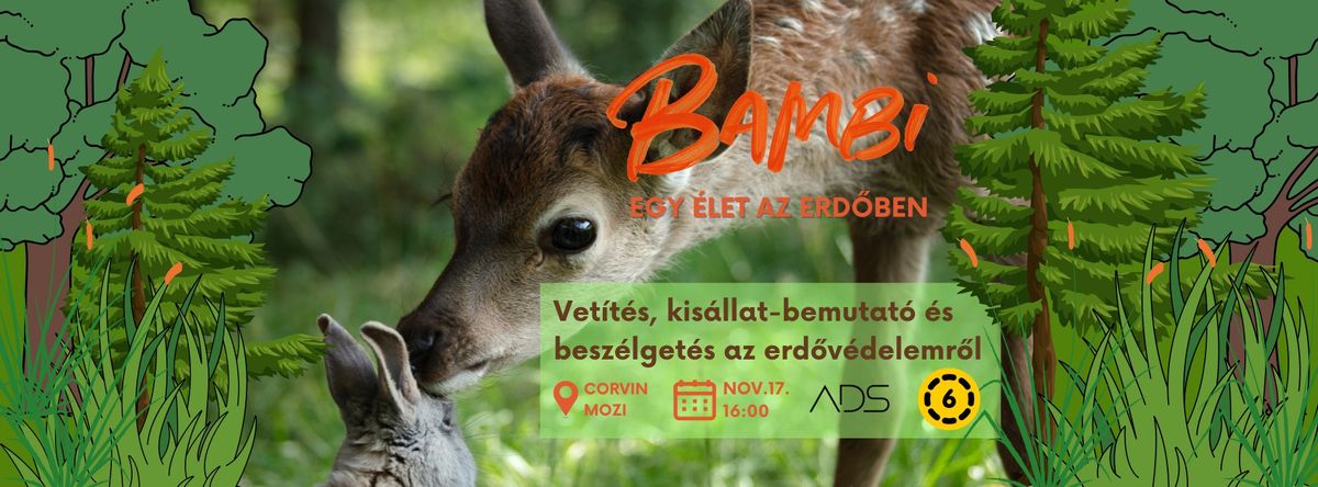 Bambi - Egy \u00e9let az erd\u0151ben I Vet\u00edt\u00e9s, kis\u00e1llat-bemutat\u00f3, besz\u00e9lget\u00e9s