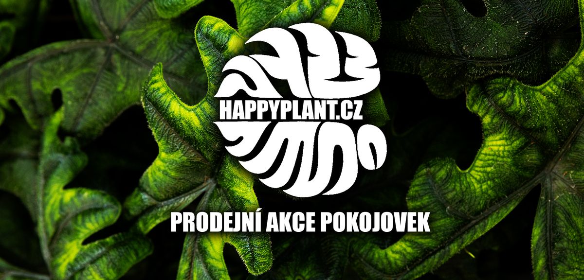 HAPPYPLANT Klatovy - Prodejn\u00ed akce pokojov\u00fdch rostlin