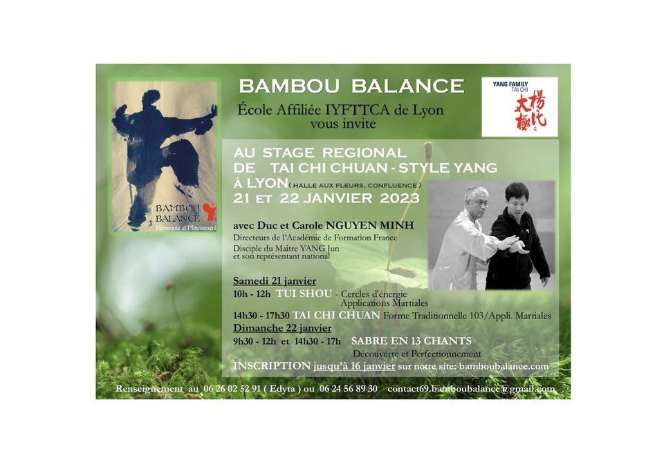 STAGE REGIONAL DE TAI CHI CHUAN - STYLE YANG TRADITIONNEL \u00e0 LYON