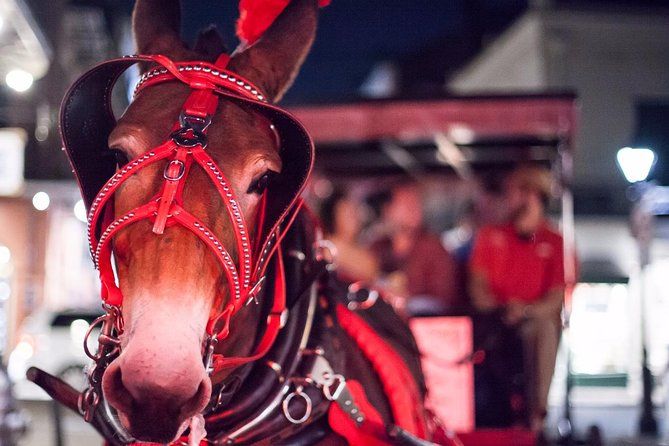 New Orleans Haunted History Carriage Tour, 700 Decatur St, New Orleans ...