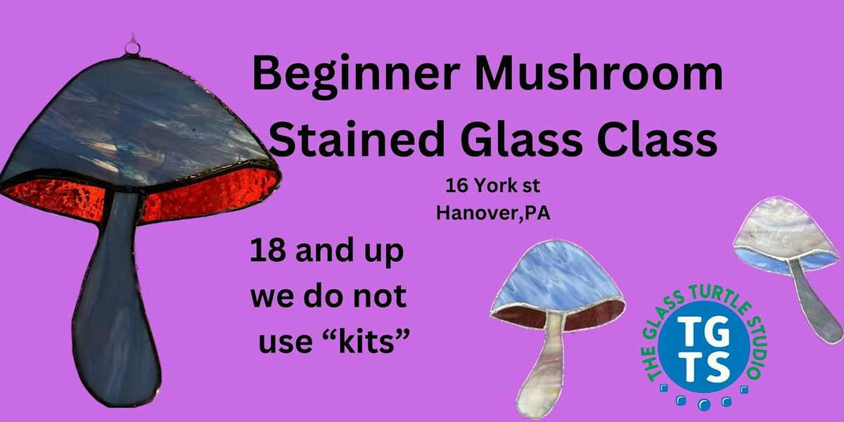 Mushroom stained glass class-beginner friendly 18 and up.