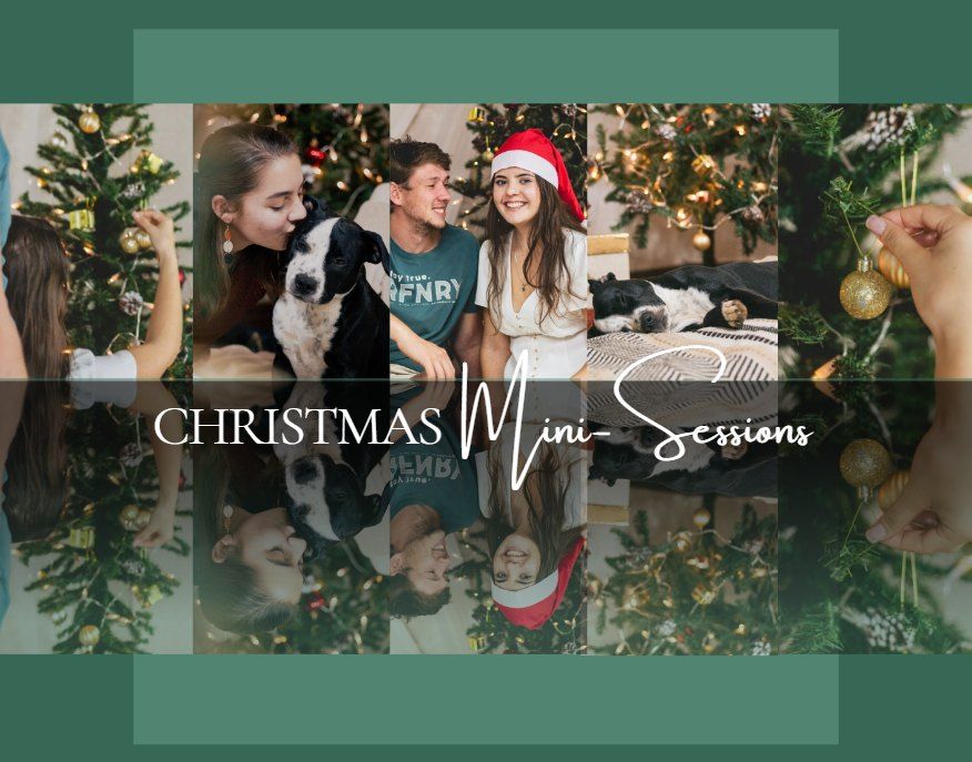 Christmas Mini-Sessions | 7&8 Dec | R450 | 20min | Pretoria East