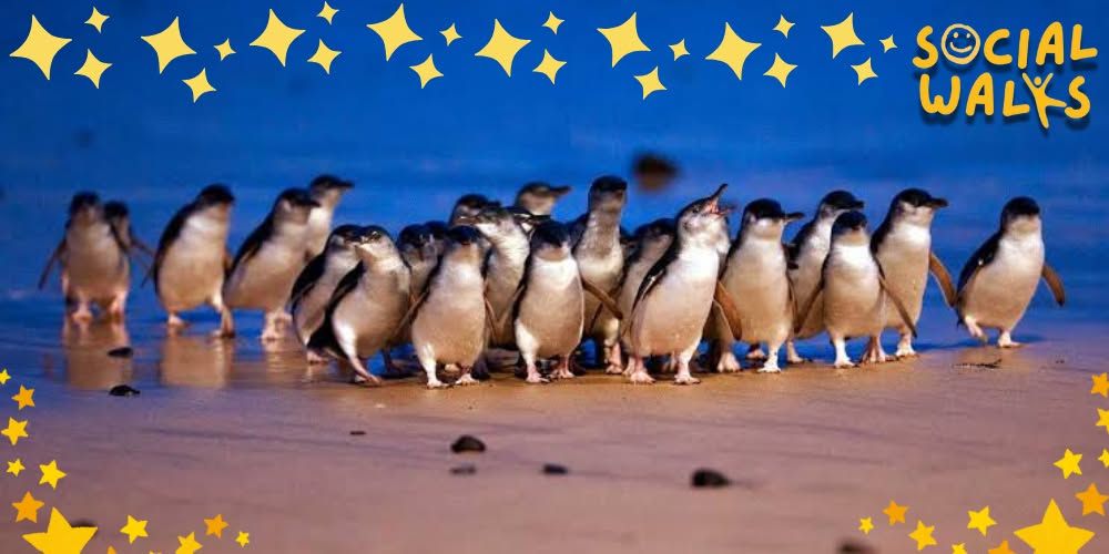 Melbourne Social Walks - Phillip Island Cape Woolamai Hike + Penguin Parade Day Trip! (Transport + Penguin Parade Entry included) - w\/Adam