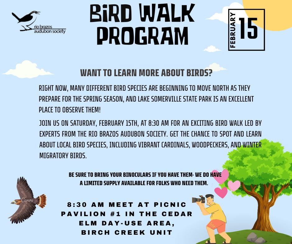 Bird Walk