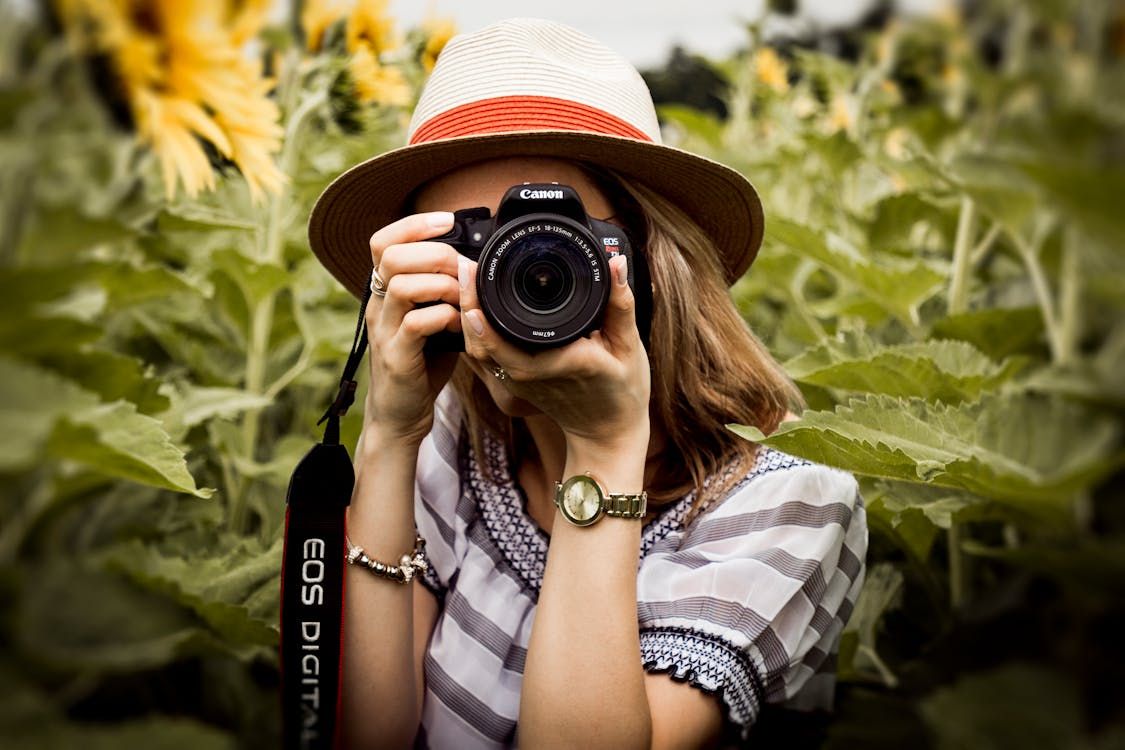 Beginner's Guide to Photography