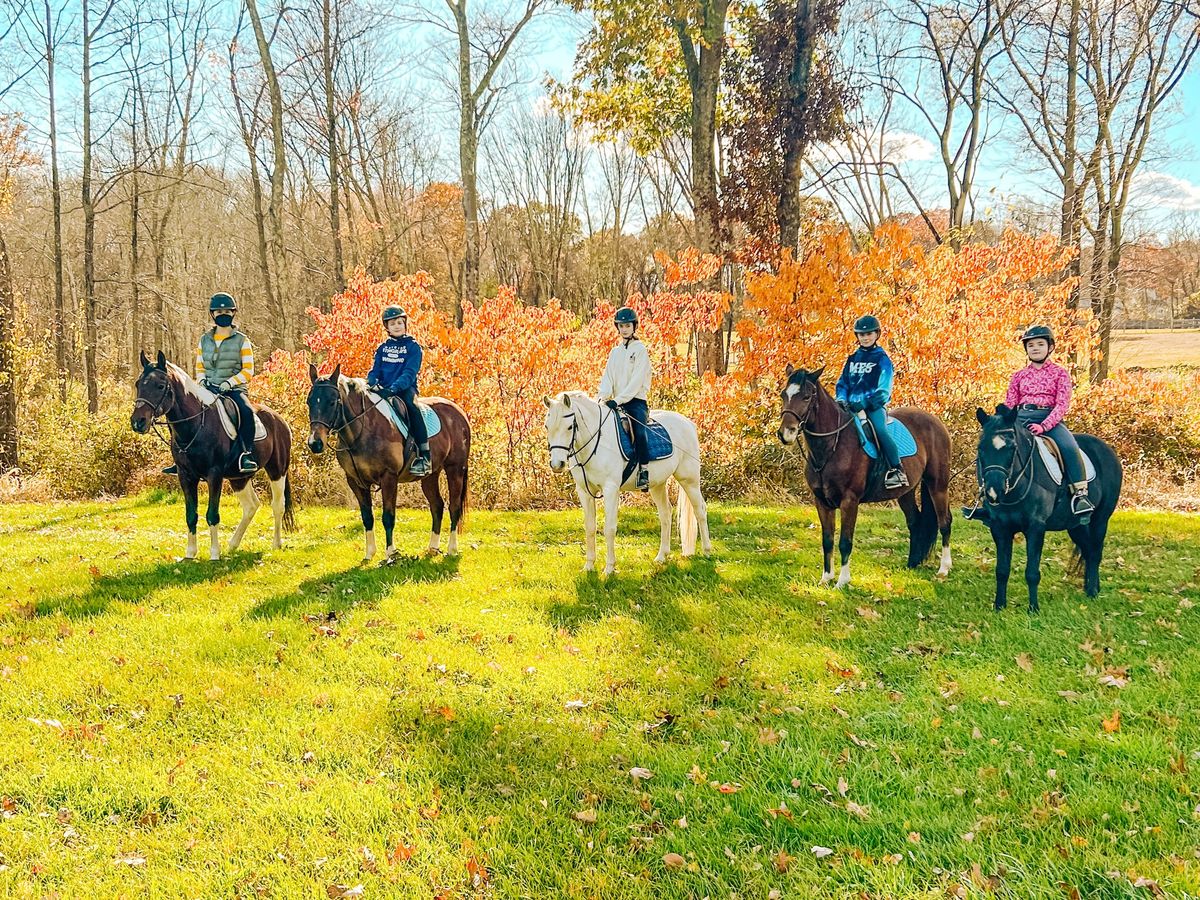 Veterans Day Horsemanship Program