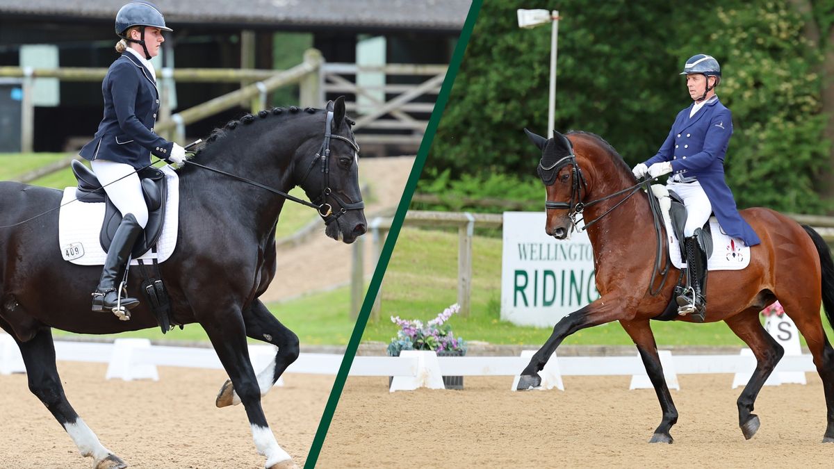 Autumn International Dressage Competition