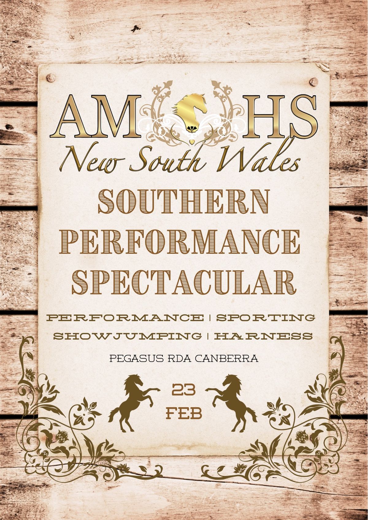 2025 AMHS Southern NSW Performance Spectacular 