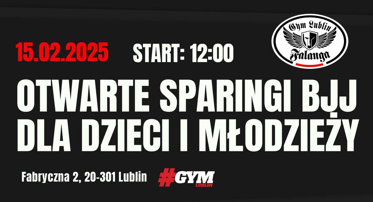 OTWARTE SPARINGI BJJ DLA DZIECI I M\u0141ODZIE\u017bY - Lublin