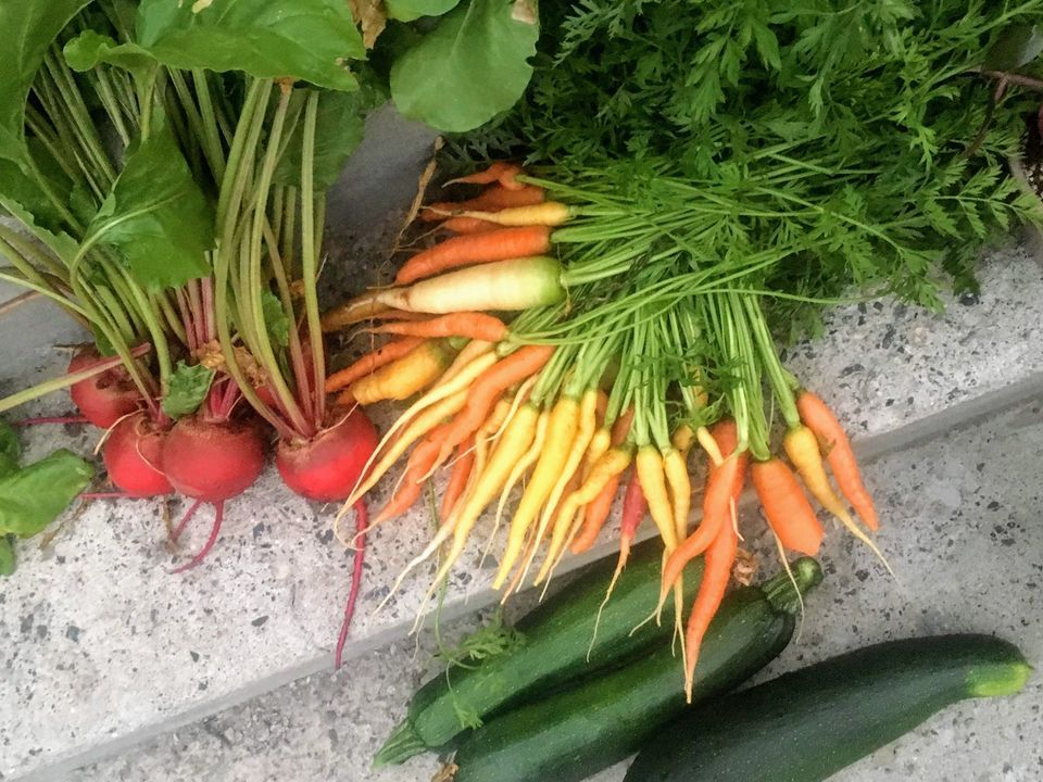 grow-your-own-vegetable-gardening-in-gallatin-county-cashman-nursery