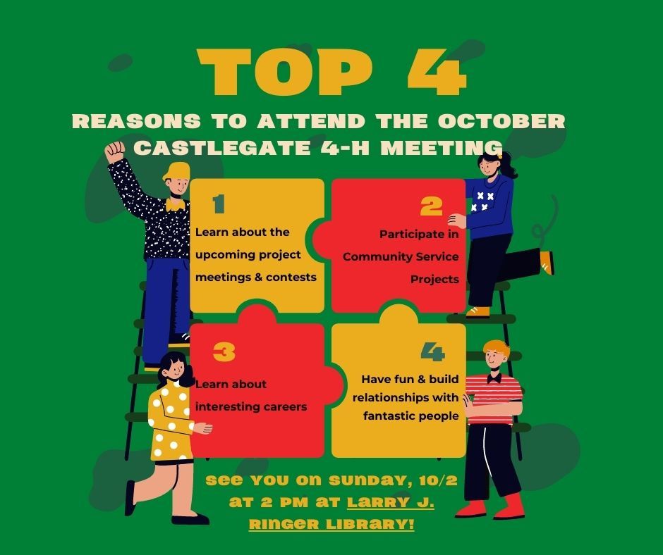 Castlegate 4-H Club Monthly Meeting