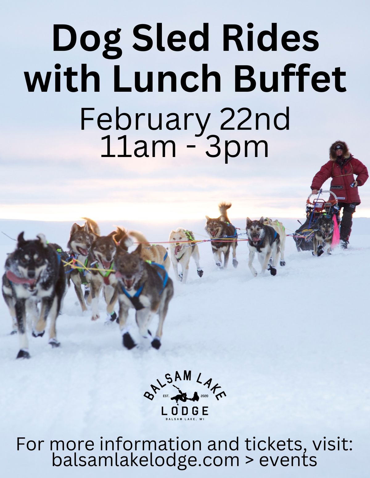 Dog Sled Rides on Balsam Lake