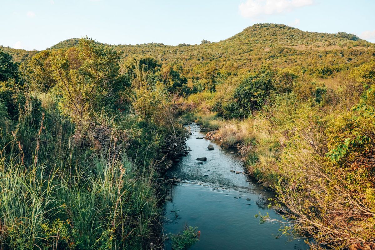 Faerie Glen Nature Reserve Day Hike