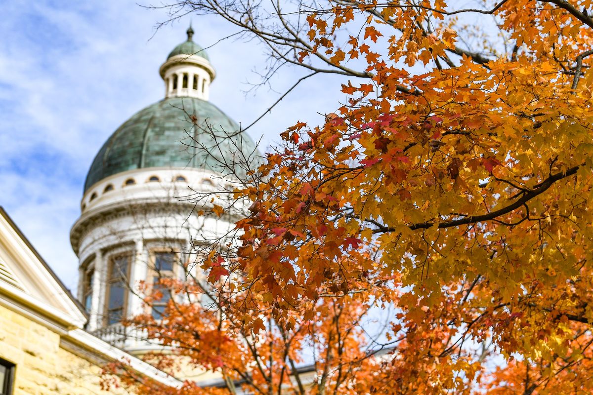 Fall Visit Day