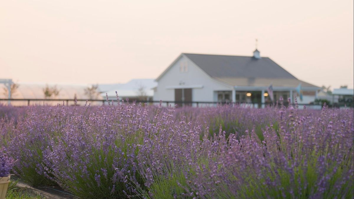 2025 Delaware Lavender & Lambs Festival