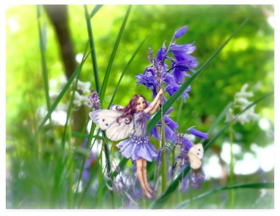 Bluebell fairy walk