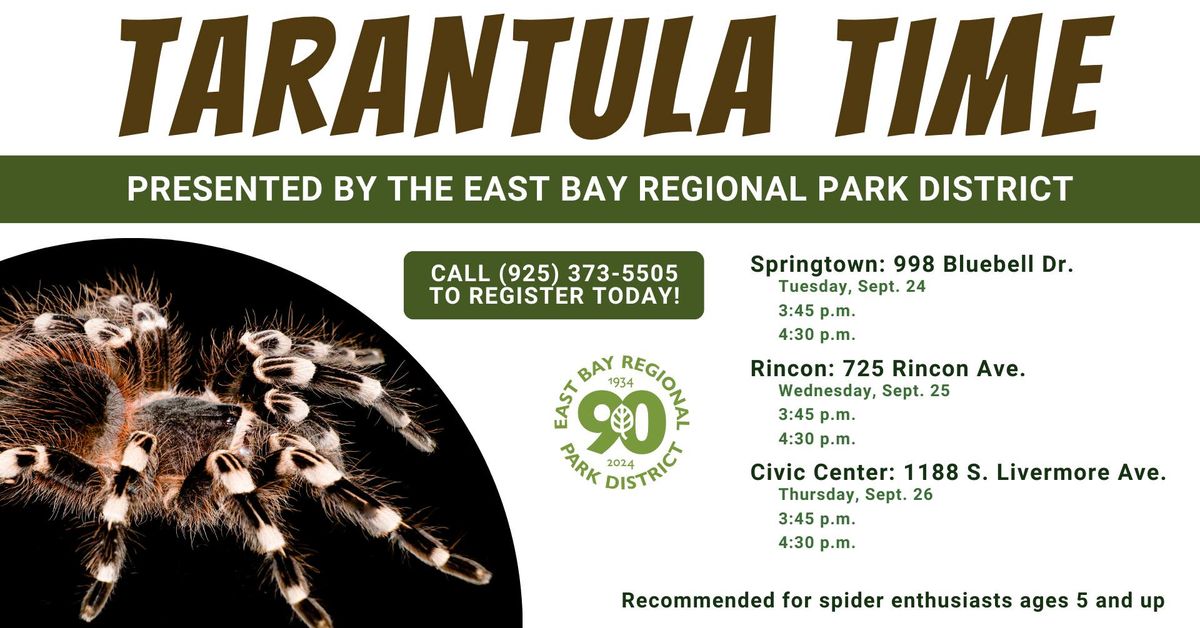 Tarantula Time at Civic Center Library