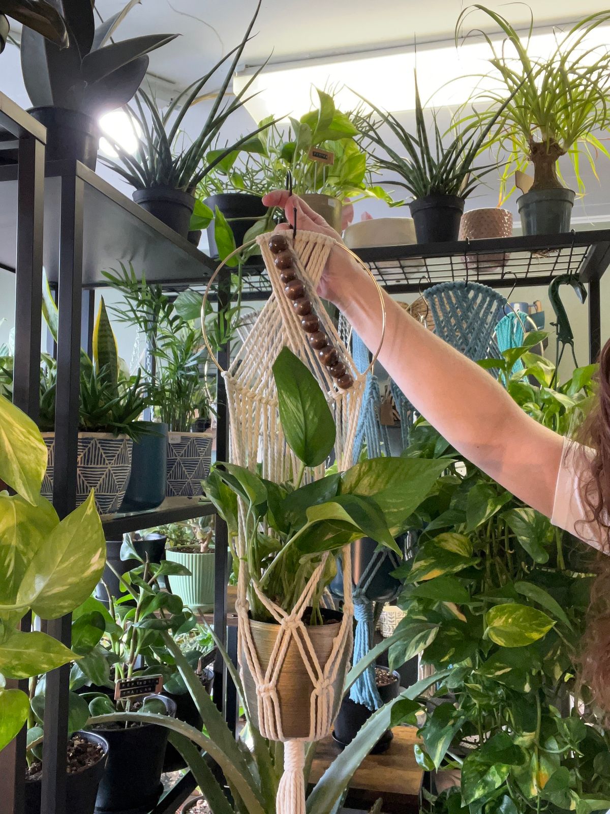 Macrame plant hanger (hoop style) workshop