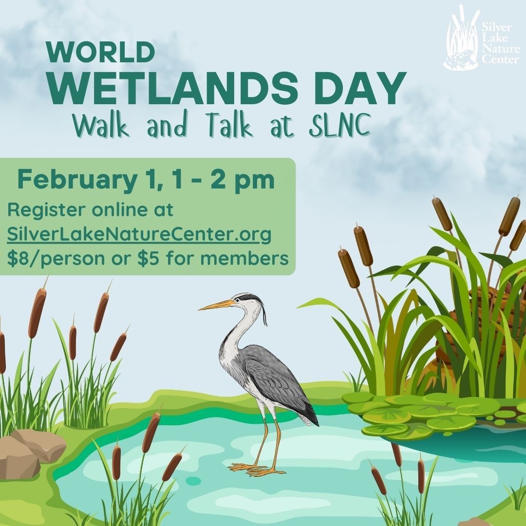 World Wetlands Day ~ Walk & Talk at SLNC 