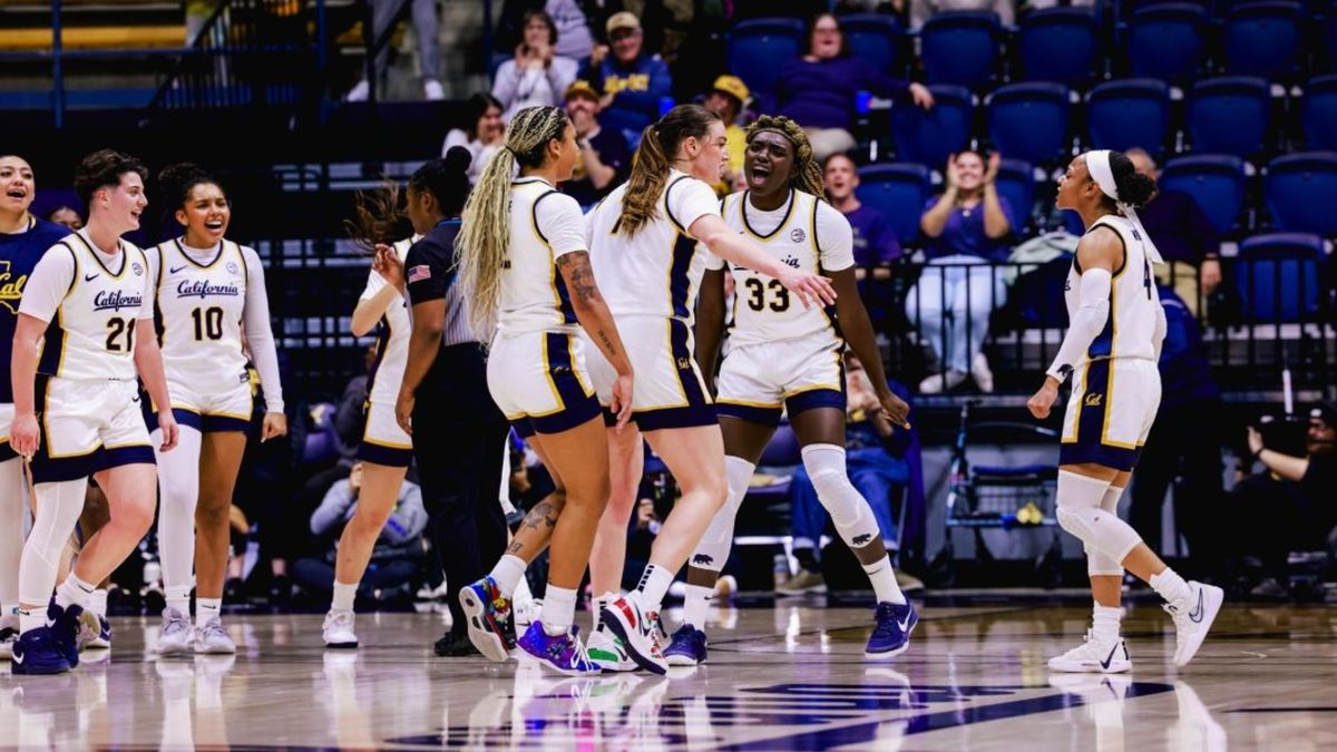 California Golden Bears at NC State Wolfpack Womens Volleyball