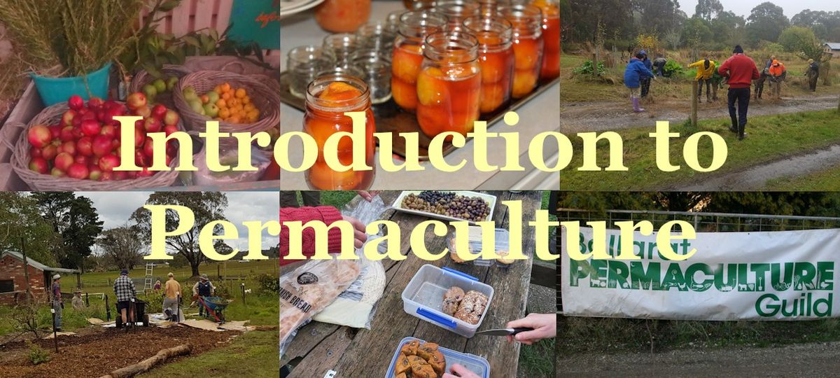 Introduction to Permaculture - November 2024