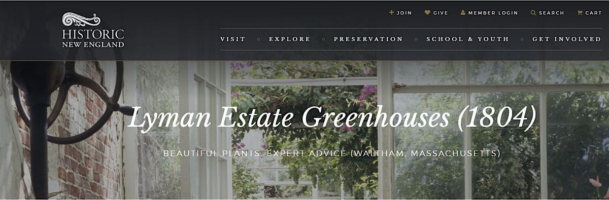 Houseplant and Begonia Sale