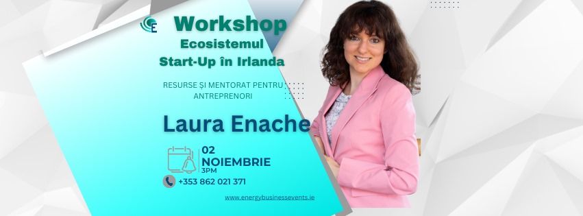 Ecosistemul Start-Up i\u0302n Irlanda: Resurse s\u0326i Mentorat 