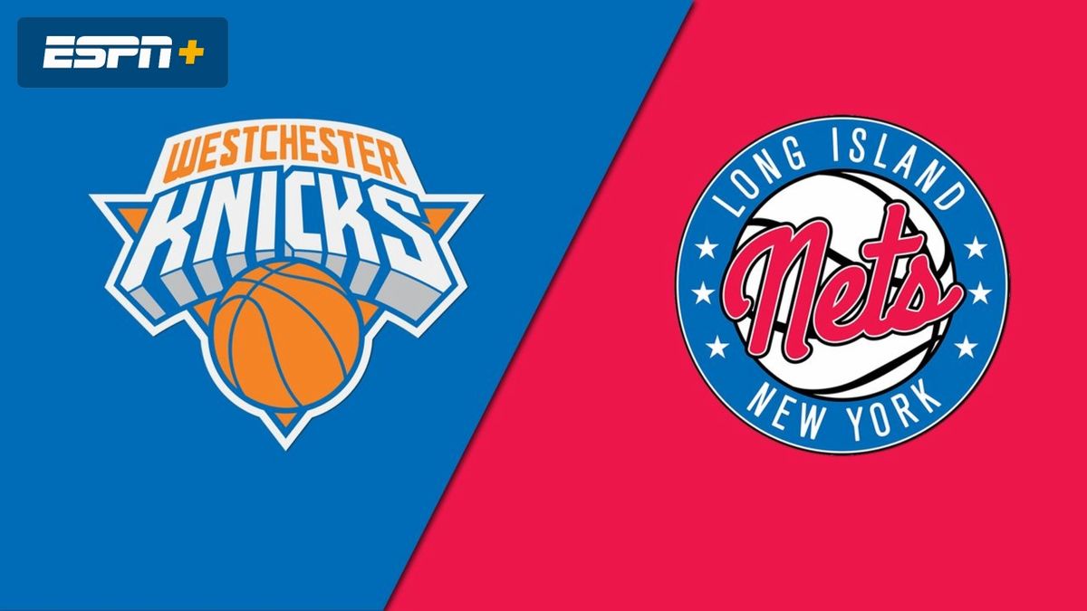 Westchester Knicks at Long Island Nets