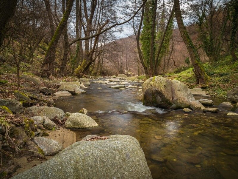 Frick Park Fall Stream Sweep