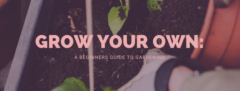 Grow your own: A Beginners Guide to Gardening