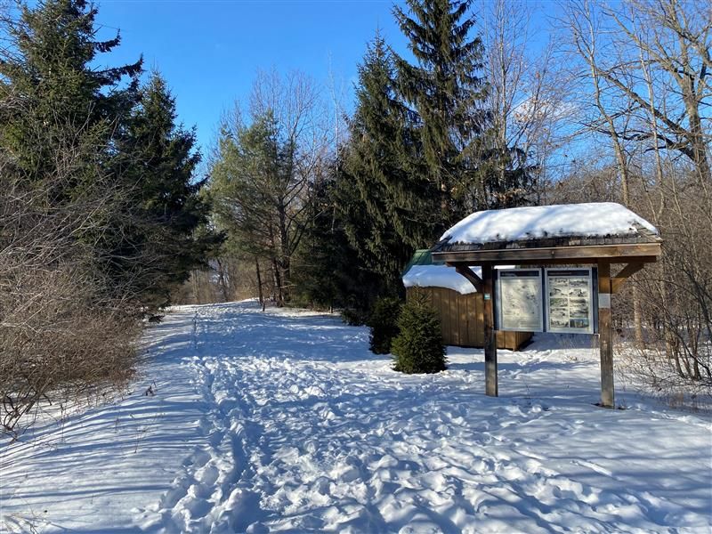 Tracking Tracks in Heritage Park