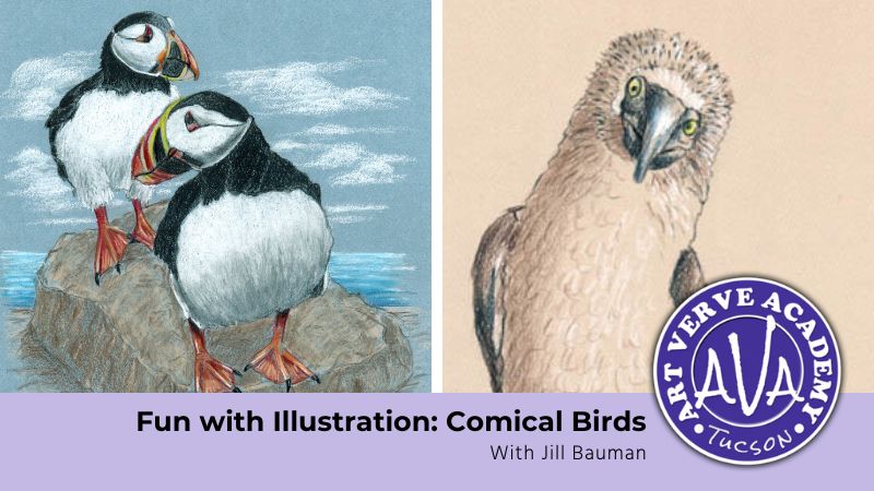 Fun with Illustration: Comical Birds (Oct. 2024)