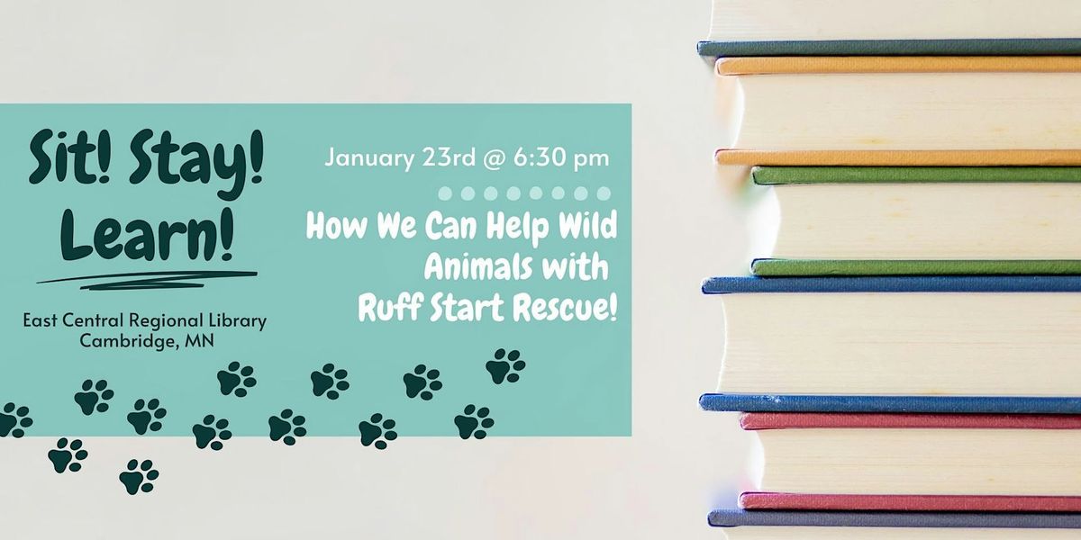 How We Can Help Wild Animals with Ruff Start Rescue!