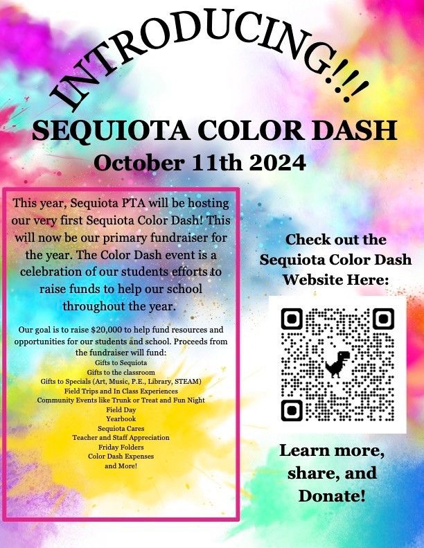 Sequiota Color Dash