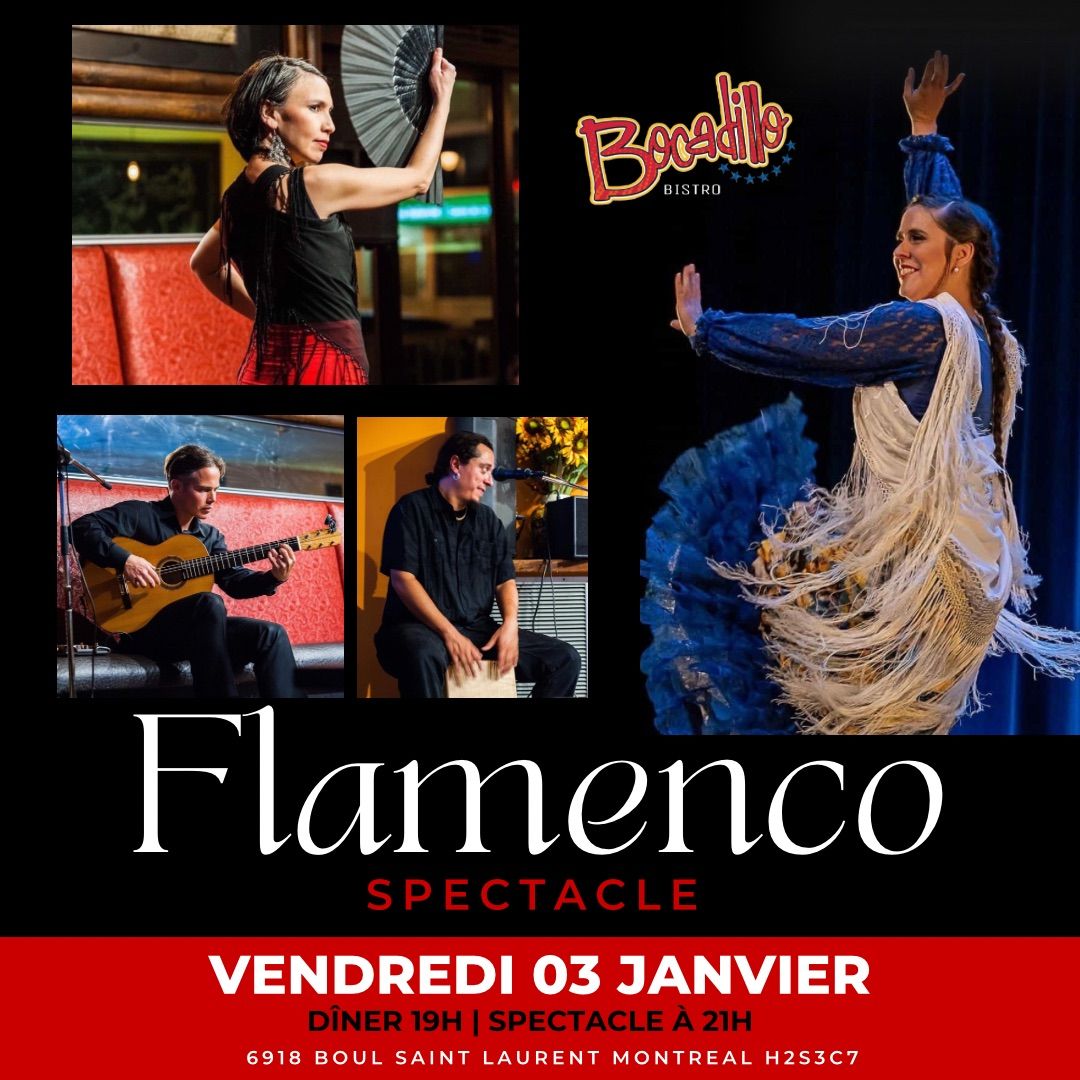 Flamenco spectacle \ud83d\udc83\ud83d\udc83