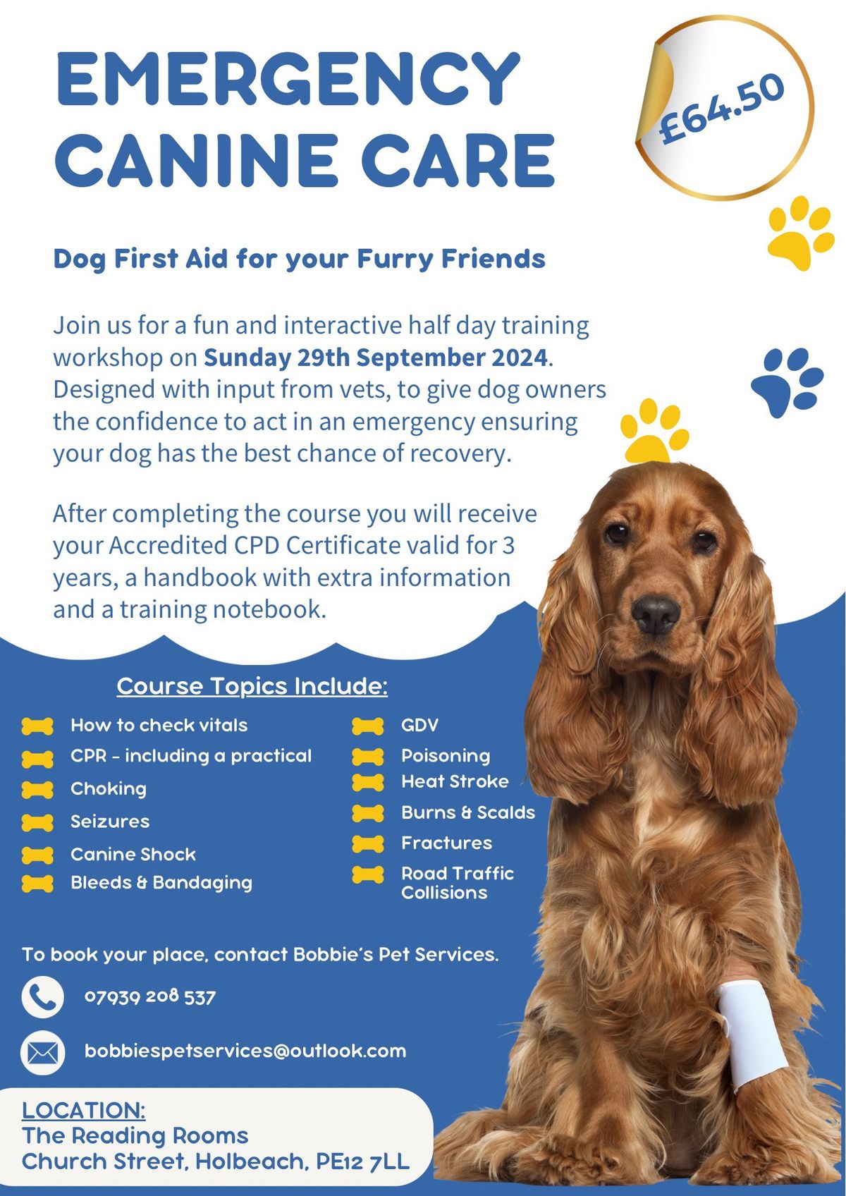 Holbeach: Emergency Canine Care - For Dog Owners