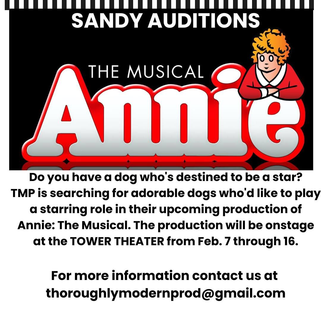 "Sandy" Auditions for Annie the Musical