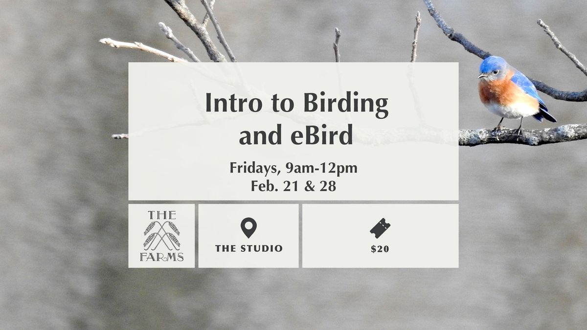 Intro to Birding and eBird