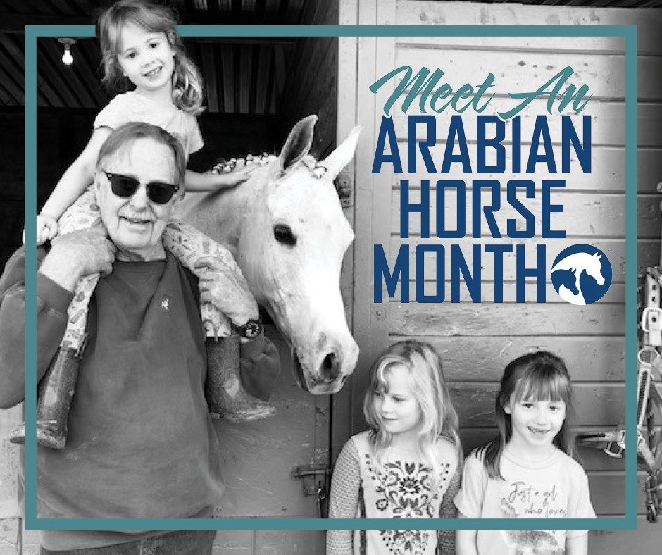 Meet an Arabian Horse Open House