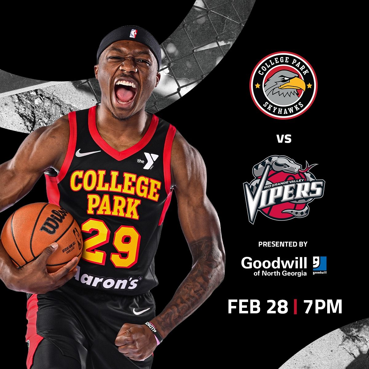 College Park SkyHawks vs. Rio Grande Valley Vipers