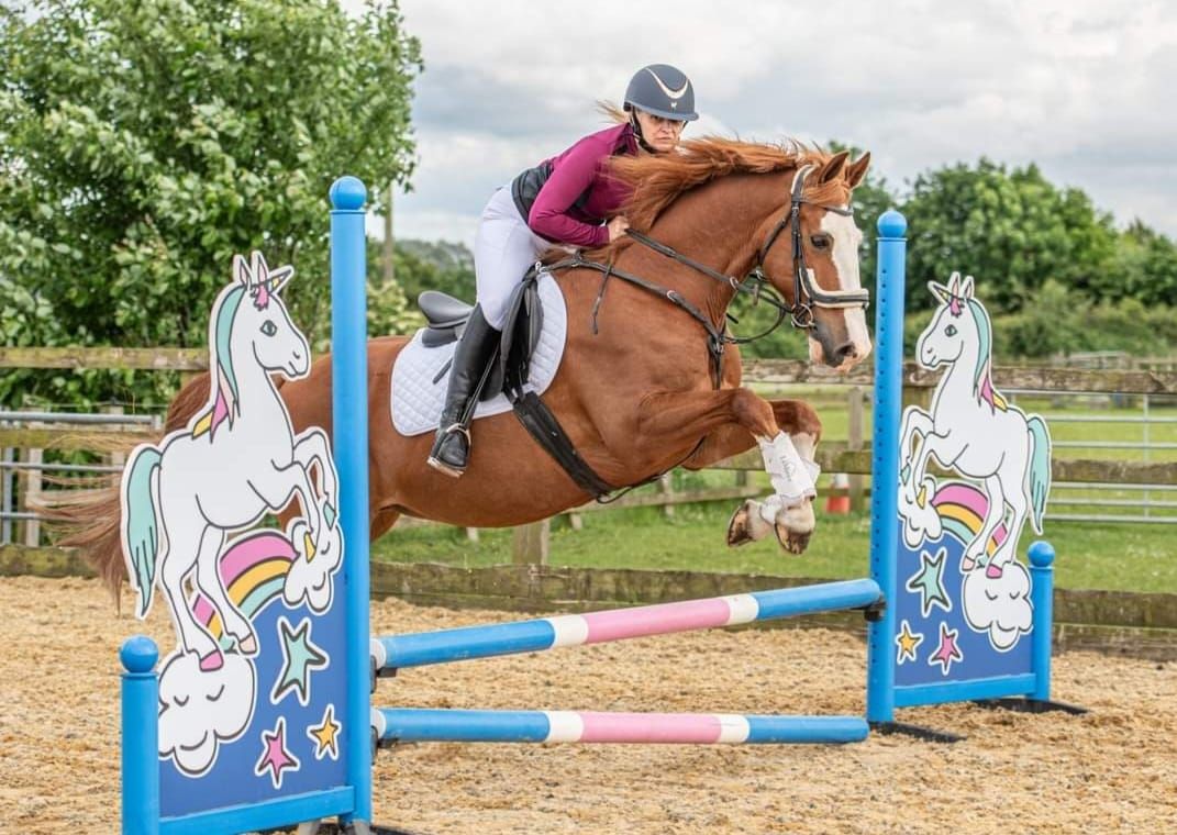 FUN SHOW JUMPING \ud83d\udc0e SUNDAY 16th FEBRUARY \ud83d\udc0e MILL LANE STABLES @1pmstart