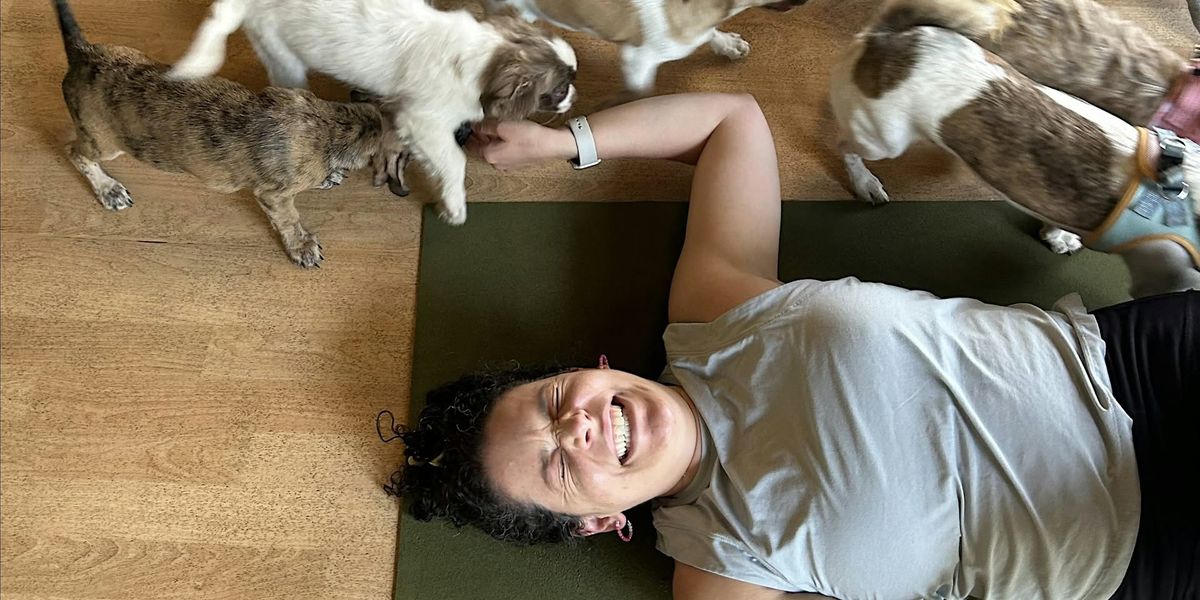 Doggy Noses & Yoga Poses at Lost Ark Distilling