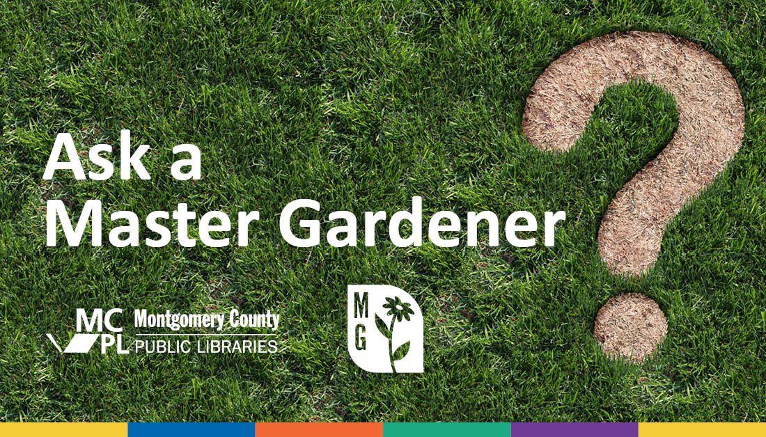 Ask a Master Gardener at Brig. Gen. Charles E. McGee Library