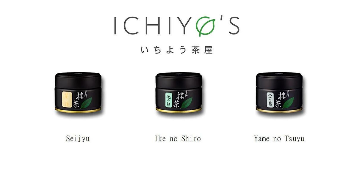 ICHIYO'S Matcha Lab - Session 1 - Hoshino Seicha-en