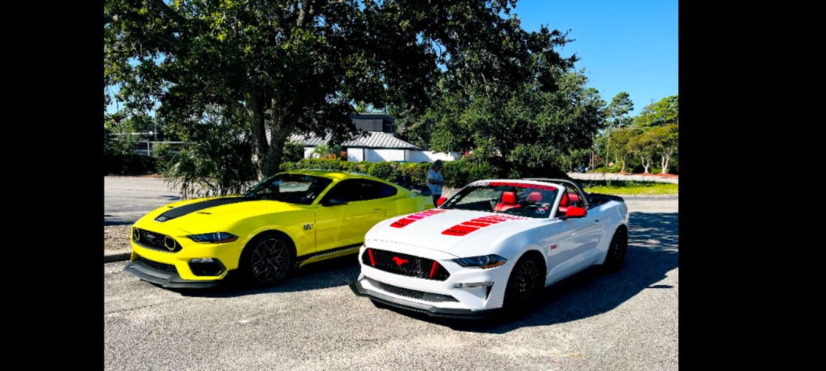 Mustang Week Cruise In